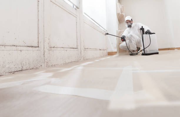 24/7 Emergency Crawl Space Mold Remediation experts in Middlesex, NJ
